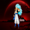 Gora